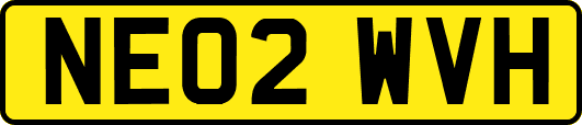 NE02WVH