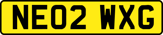 NE02WXG