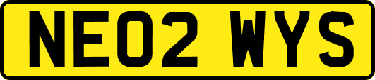 NE02WYS