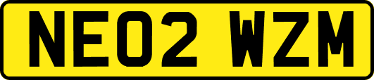 NE02WZM