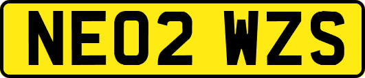 NE02WZS