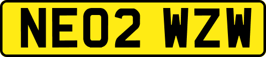 NE02WZW