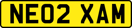 NE02XAM