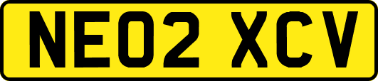 NE02XCV