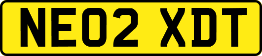 NE02XDT