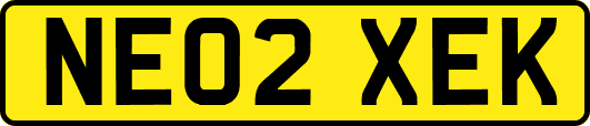 NE02XEK