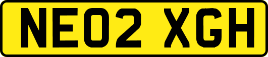 NE02XGH