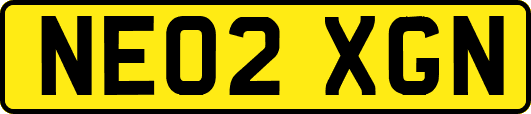 NE02XGN