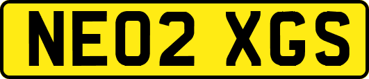 NE02XGS