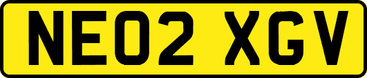NE02XGV