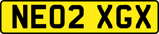 NE02XGX