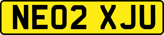 NE02XJU
