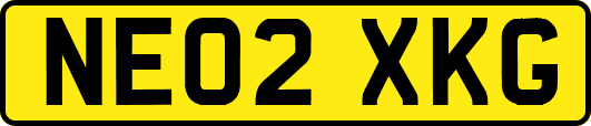 NE02XKG