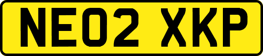 NE02XKP