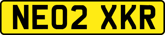 NE02XKR