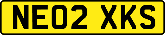 NE02XKS
