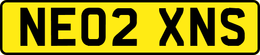 NE02XNS
