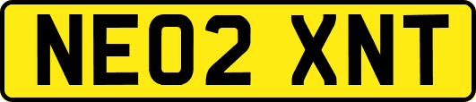 NE02XNT
