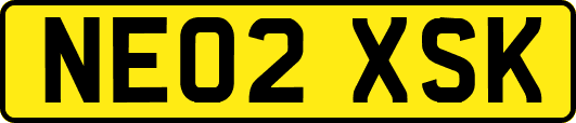 NE02XSK