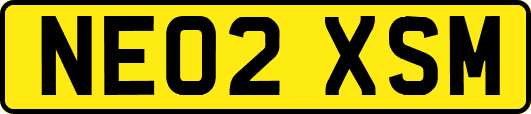 NE02XSM