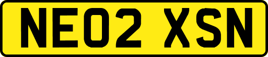 NE02XSN