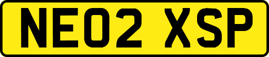 NE02XSP