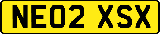 NE02XSX