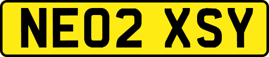 NE02XSY