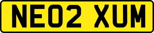 NE02XUM
