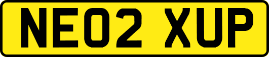 NE02XUP
