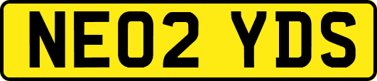 NE02YDS