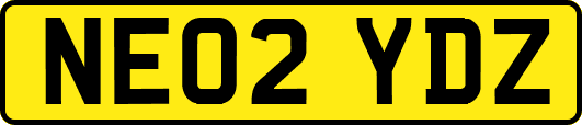 NE02YDZ