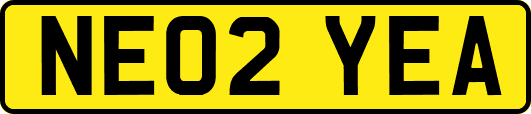 NE02YEA