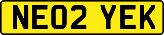 NE02YEK