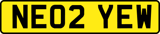 NE02YEW