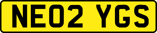 NE02YGS