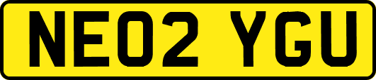 NE02YGU