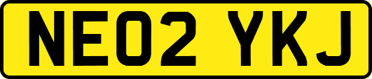 NE02YKJ