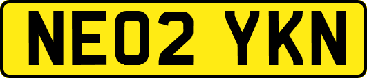 NE02YKN