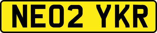 NE02YKR