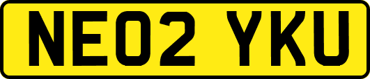 NE02YKU