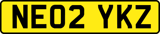 NE02YKZ