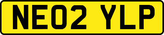 NE02YLP