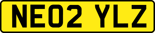 NE02YLZ