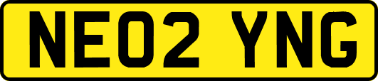 NE02YNG