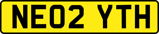 NE02YTH