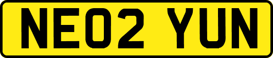 NE02YUN