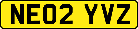 NE02YVZ