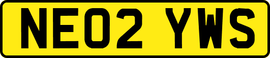 NE02YWS