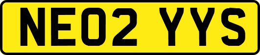 NE02YYS